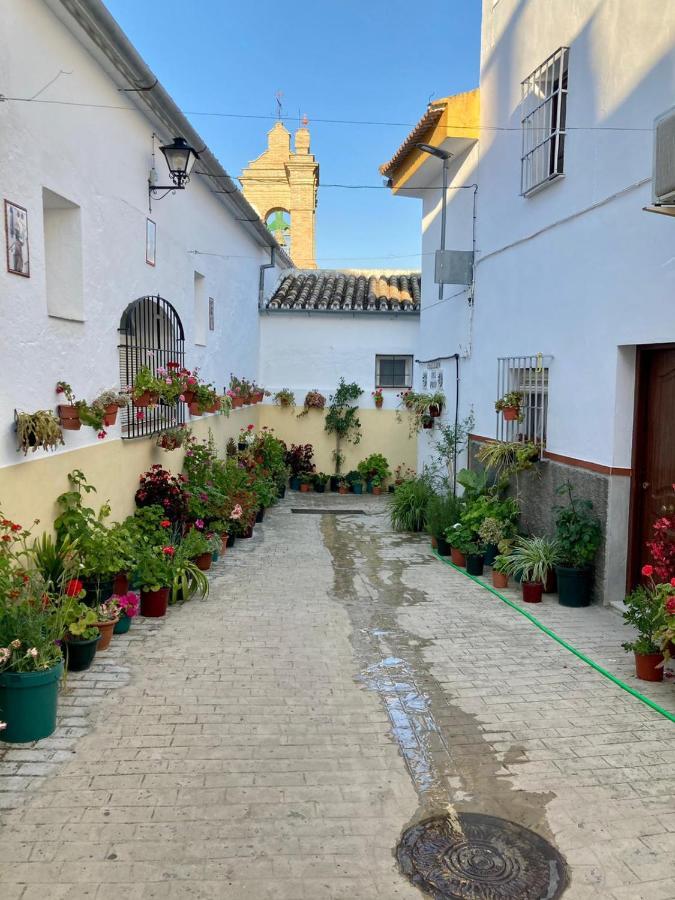 Apartamento Nuevo En Sierra Sur Sevilla Villanueva de San Juan Экстерьер фото